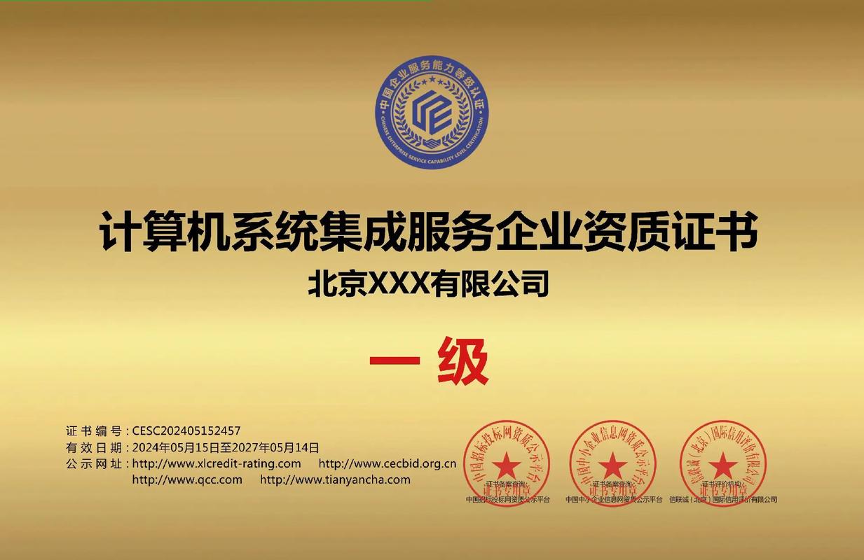 計(jì)算機(jī)系統(tǒng)集成服務(wù)一級(jí)證書 行業(yè)標(biāo)準(zhǔn)與專業(yè)價(jià)值