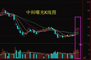 中科曙光主力欲蓋彌彰？計(jì)算機(jī)系統(tǒng)集成服務(wù)的深度走勢(shì)分析