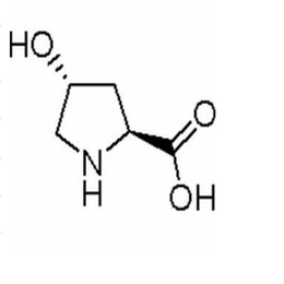 L-羥脯氨酸