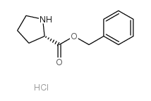 L-脯氨酸芐酯鹽酸鹽生產(chǎn)廠家_L-脯氨酸芐酯鹽酸鹽供應(yīng)商_L-脯氨酸芐酯鹽酸鹽批發(fā)/供應(yīng)/采購(gòu)
